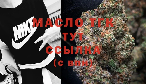 гидра Бугульма