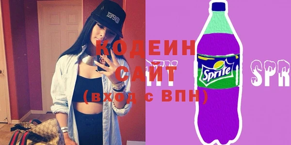 индика Бородино