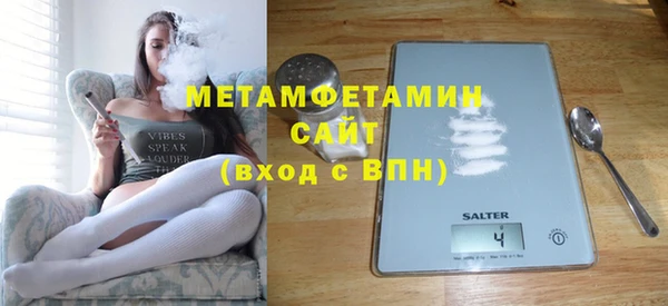 индика Бородино