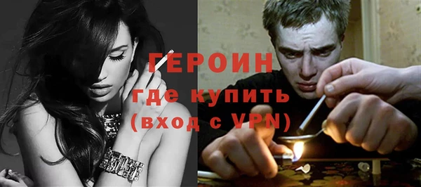 индика Бородино