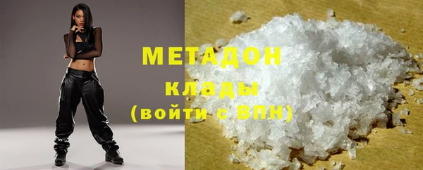 индика Бородино