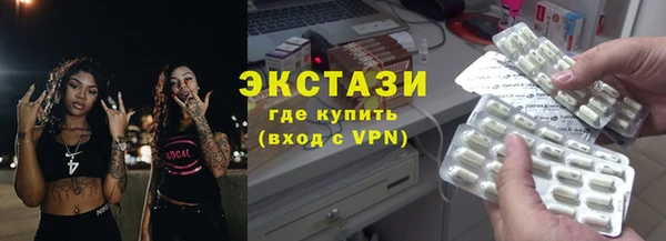 индика Бородино