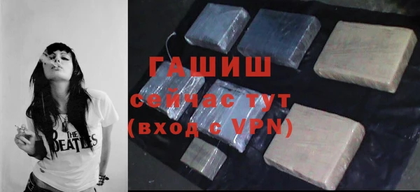 индика Бородино