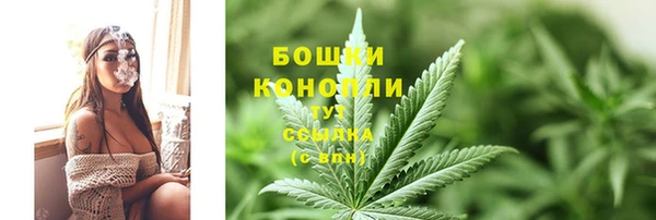 гидра Бугульма