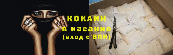 индика Бородино