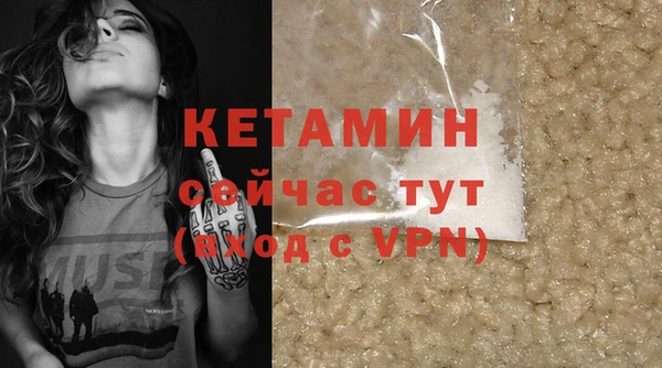 индика Бородино