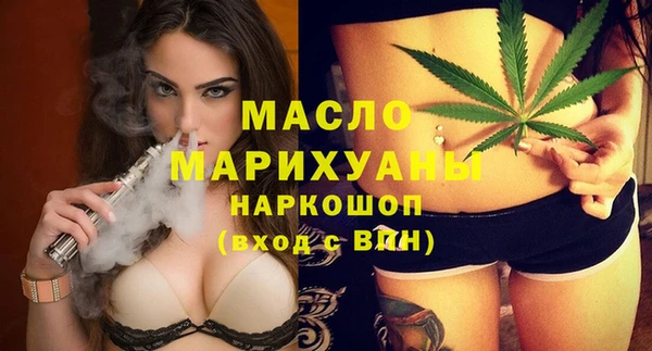 индика Бородино