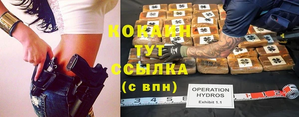 индика Бородино