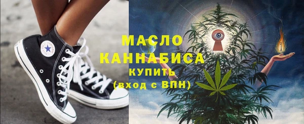 индика Бородино