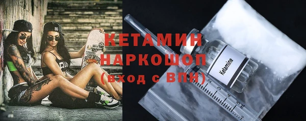 индика Бородино