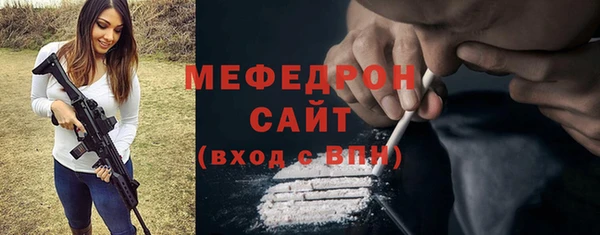 индика Бородино